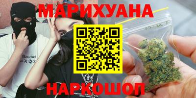 тгк Новодвинск